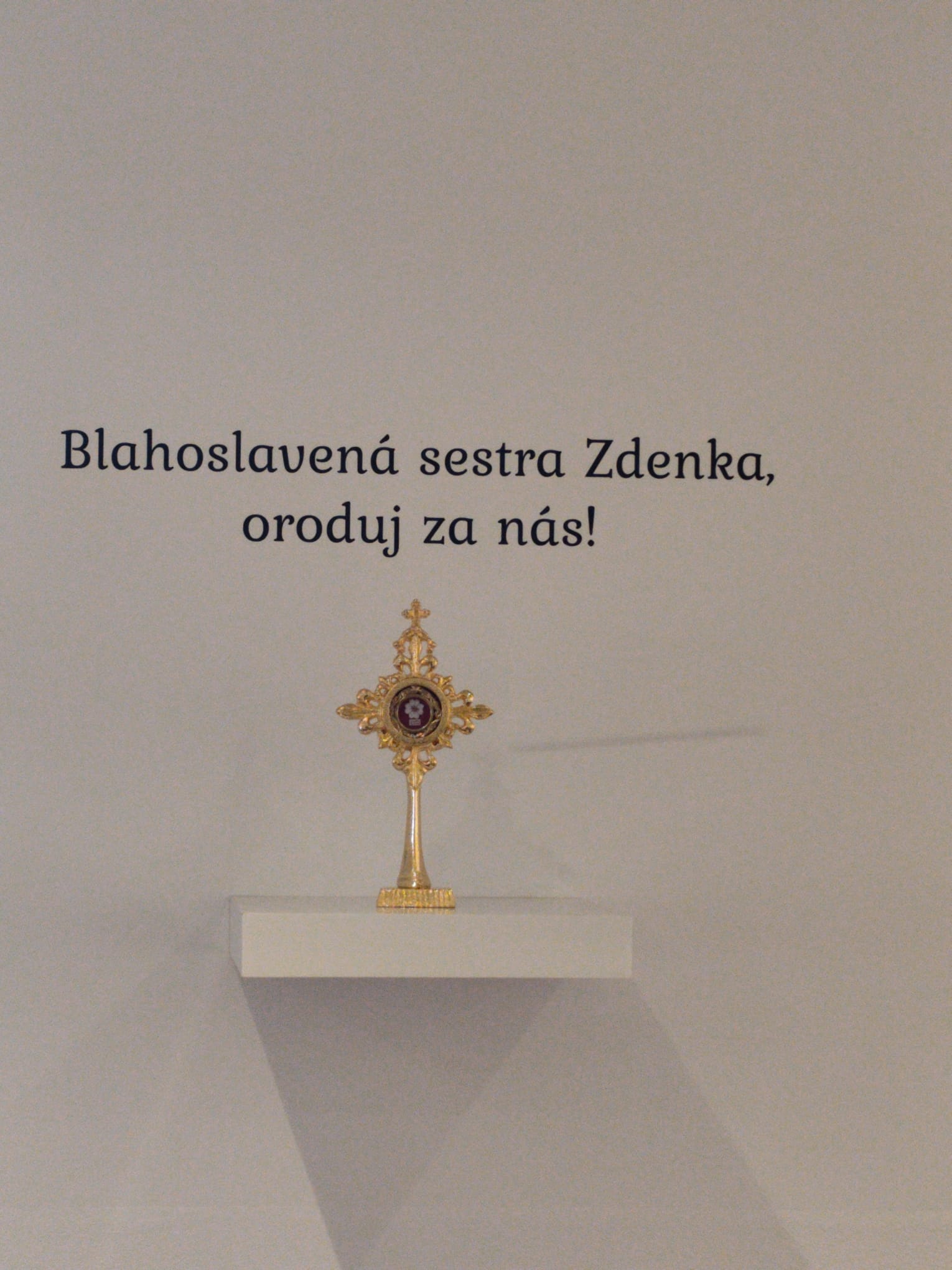 Sviatok bl. Zdenky Schelingovej